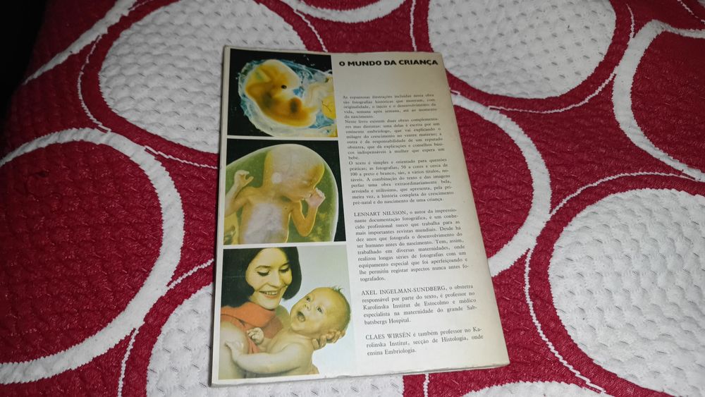 Como nasce uma criança