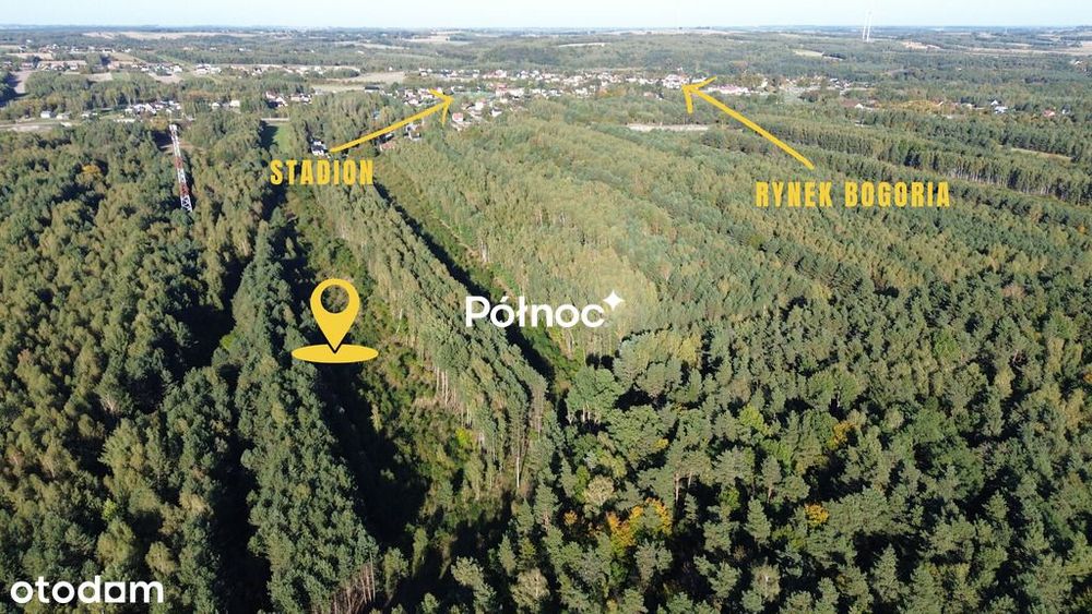 Działka / 42 a / Bogoria