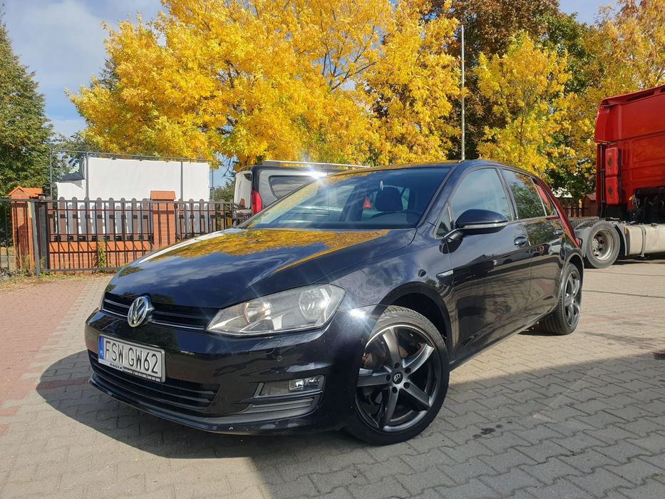Volkswagen Golf Golf VII 1.6 Cup Navi Tempomat stan bdb zarejestrowany ubzpiecz.