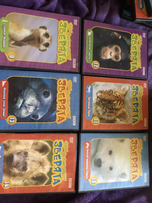 Двд диски для детей 24 шт. Звери животные