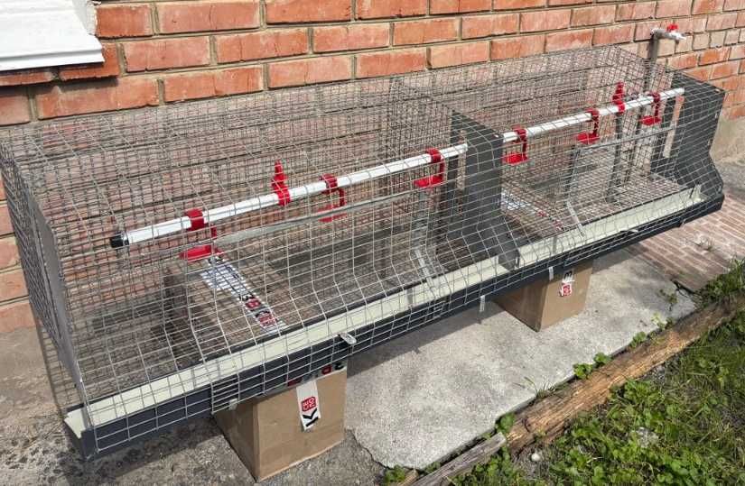 Скоби для з'єднання сітки оцинковані