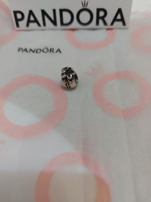 Conta Pandora Saco dinheiro
