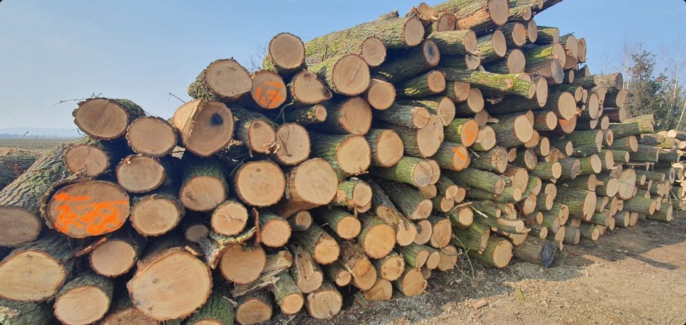 Drewno Opałowe/ Kominkowe PROMOCJA!