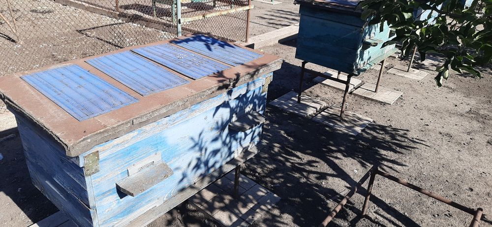 улики, лежаки, корпусні 12, вулики