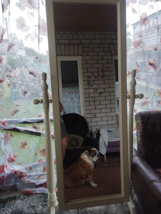 Розпродаж меблів