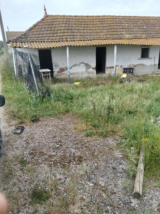 Arrendamento casa