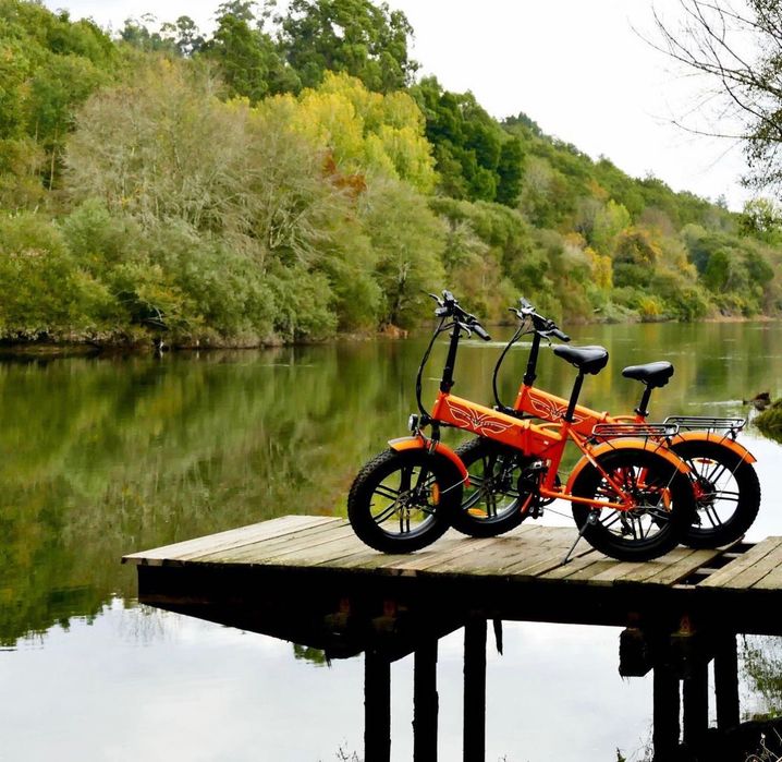 pack de 4 ebikes engwe EP-2PRO