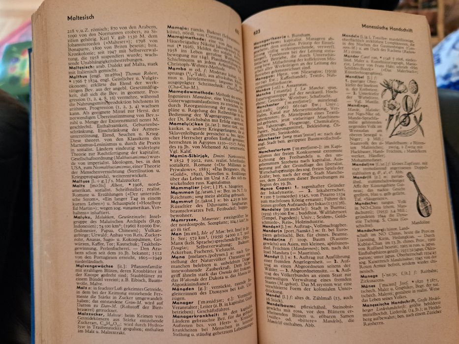 Meyers Taschen Lexikon