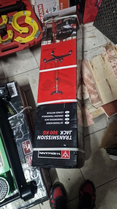 Macacos de vossa  novos