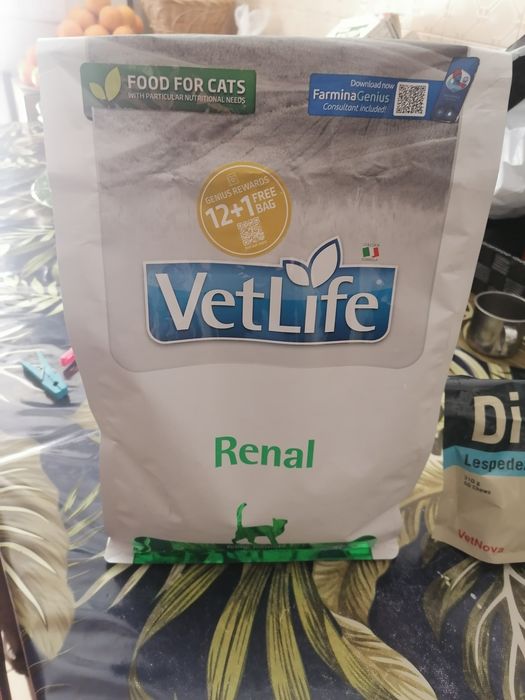 Doação de Saca de Ração Renal e Suplemento