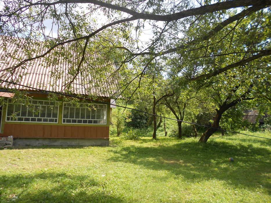 Житловий будинок та земельна ділянка 55,3 сот. с.Козьова