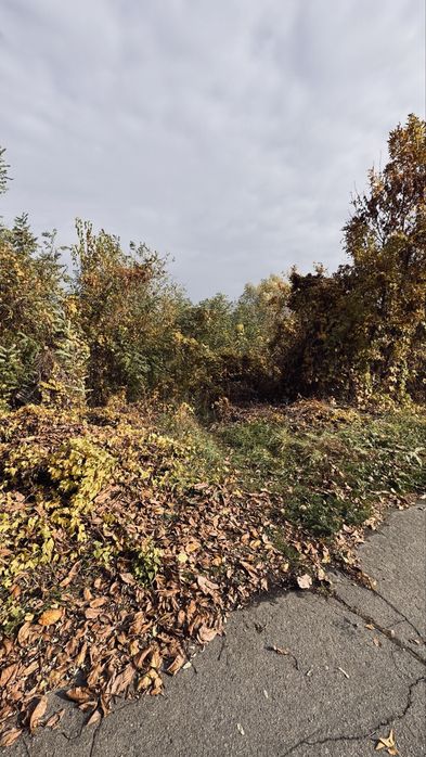 Продаж земельної ділянки с.Келеберда