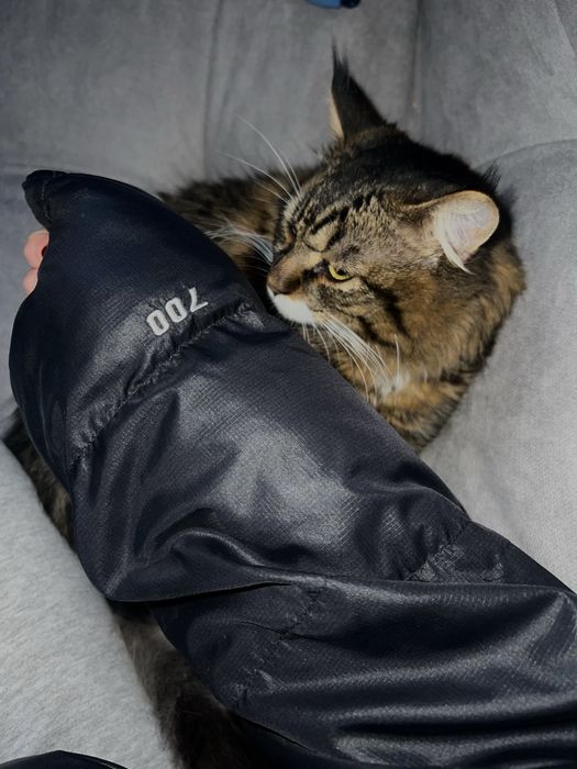 Пуховик The North Face 700 чоловічий М
