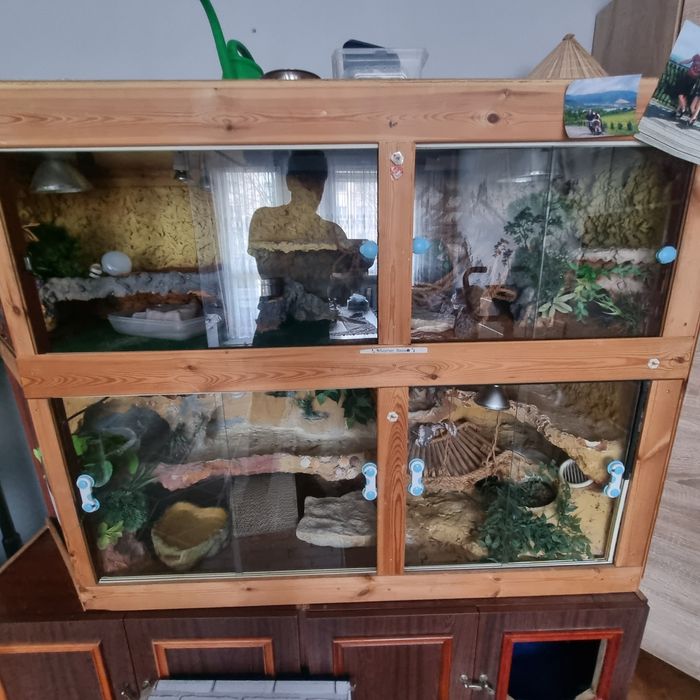 Terarium dla gadów