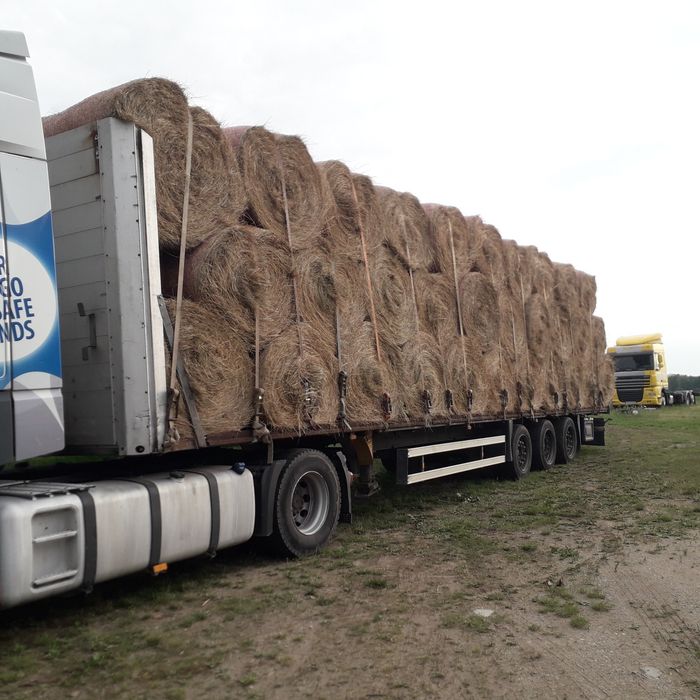 Sloma w belach 160 cm 2000 szt  Giżycko