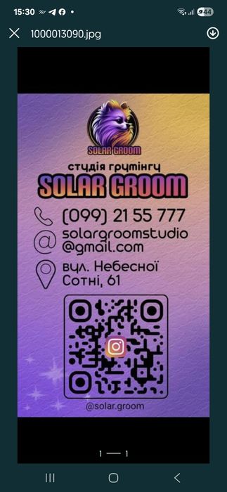 Стрижка собак і кішок