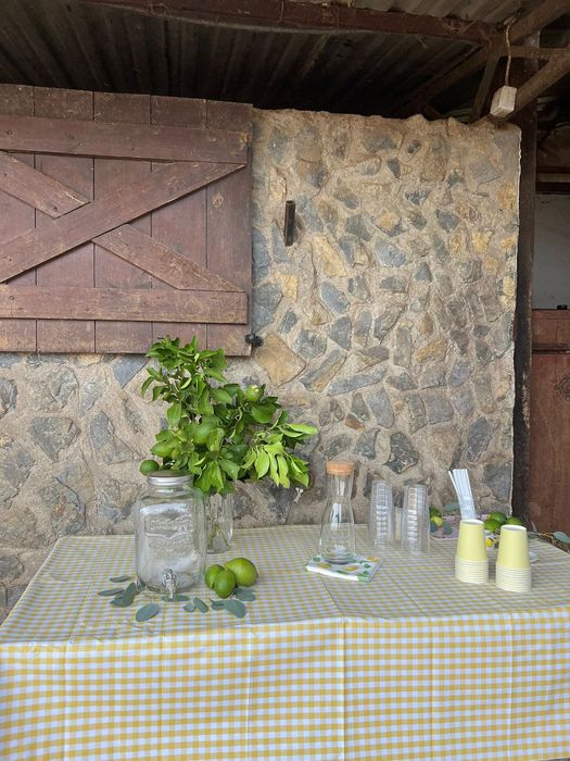 Aluguer Quinta Privada para Festas