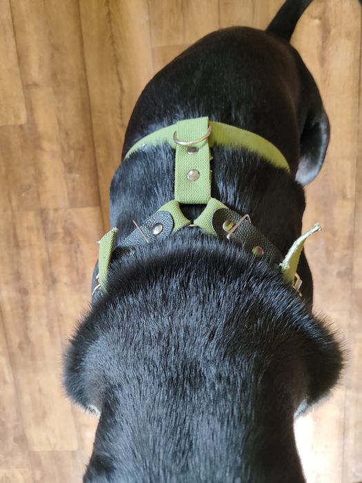 Амуниция для крупной или средней собаки . Наложенный платёж!!!