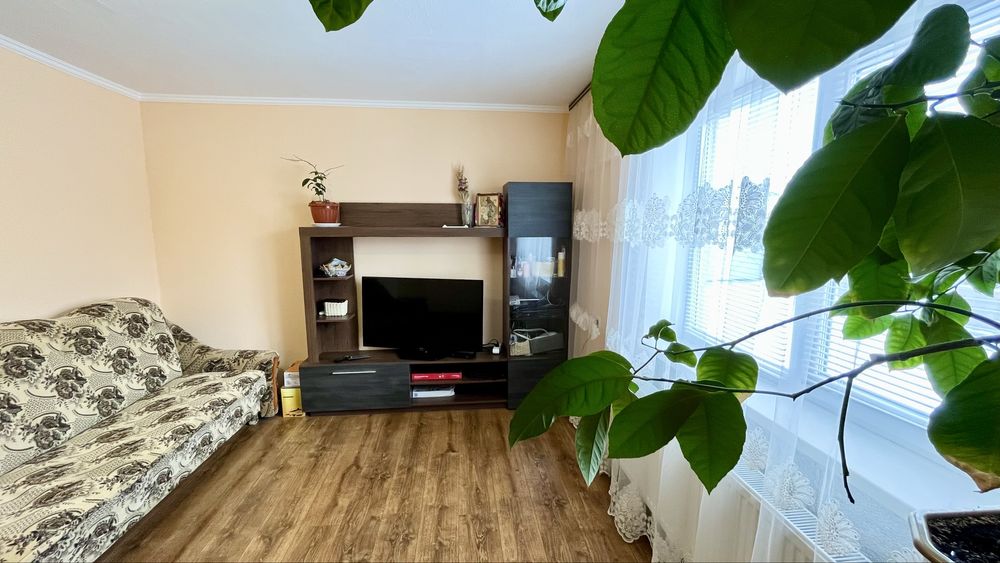 Затишний будинок біля лісу, с. Новогуйвинське, Житомир