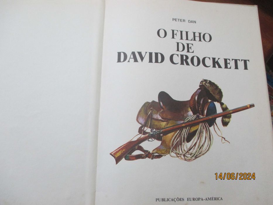 Livro - O filho de David Crockett