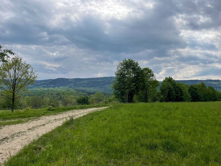 Widokowa działka budowlana z Warunkami Zabudowy - Starkówek - pod lasem - 1831 m² – 5 km od Polanicy Zdroju - z widokiem na Śnieżnik - Widok 4