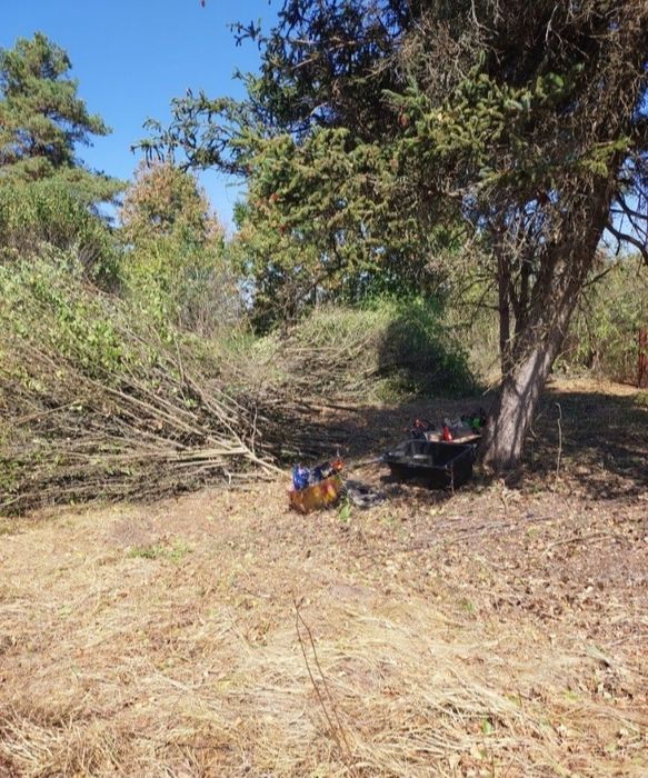 Зачистка ділянок та зріз аварійних дерев