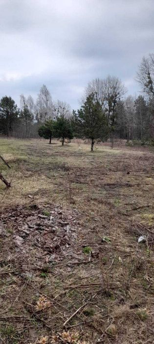 Дмитрівка , 48 соток для садівництва,  зі світлом.