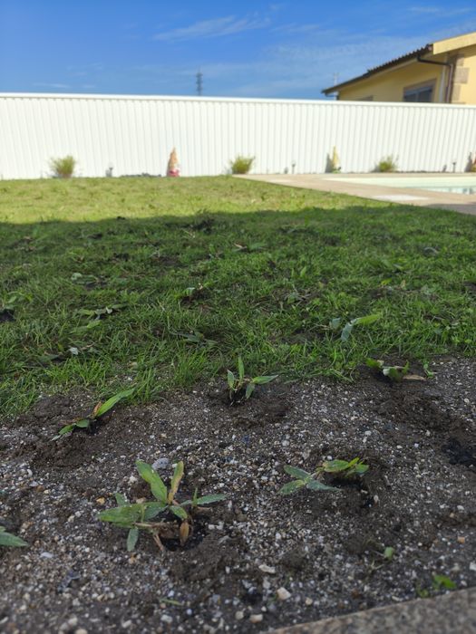 Construção e Manutenção de Jardins