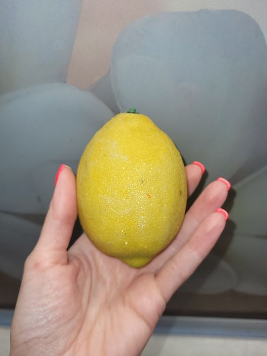 Лимон іграшковий пласмасовий