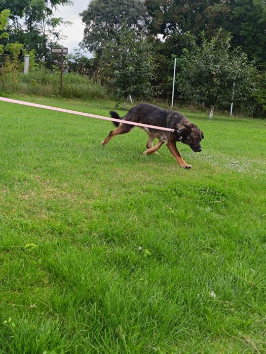 Gapcio do pilnej adopcji!