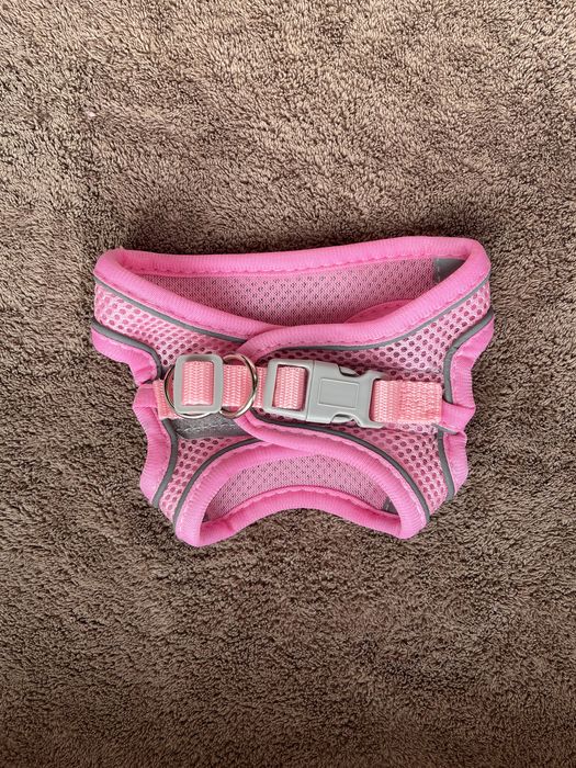 Одяг для котиків та собачок