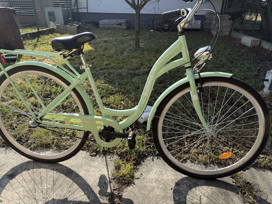 Rower mietowy Indiana