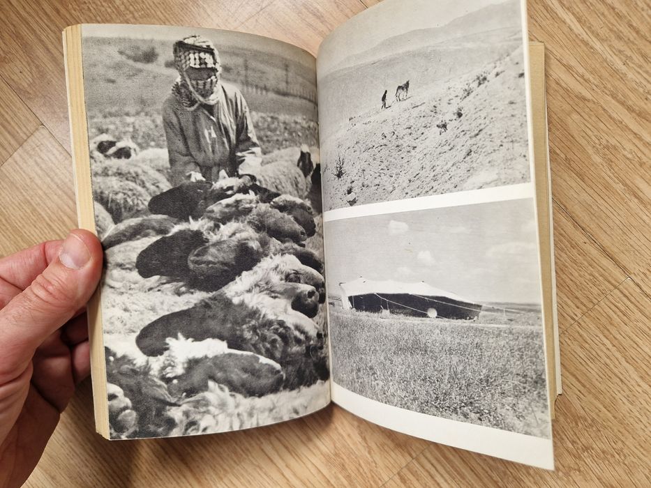 Chłopięce lata Beduina - Isaak Diqs seria DOOKOŁA ŚWIATA