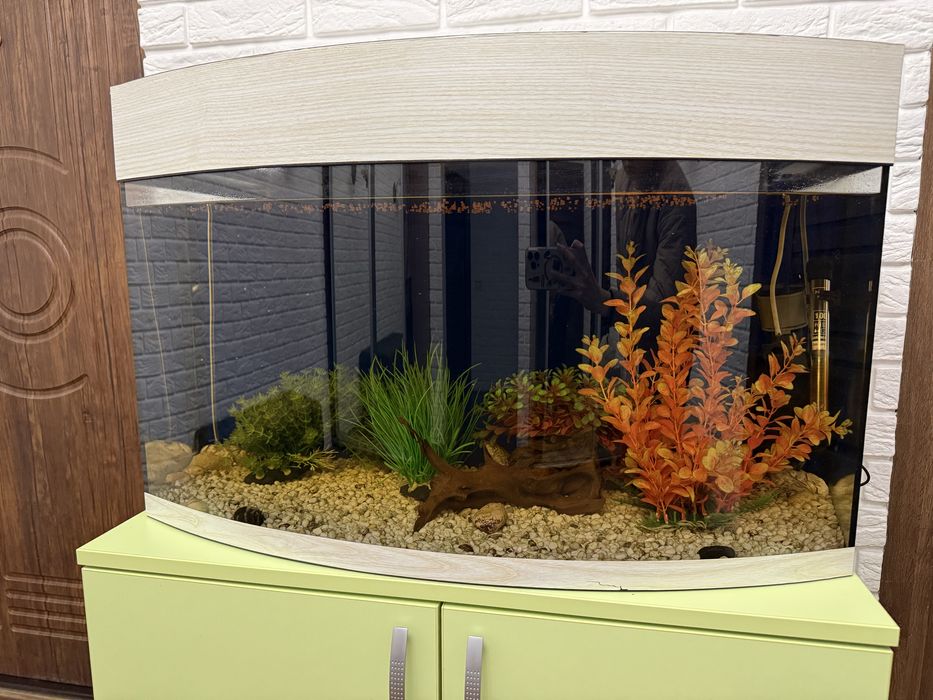 Акваріум з усім приладдям