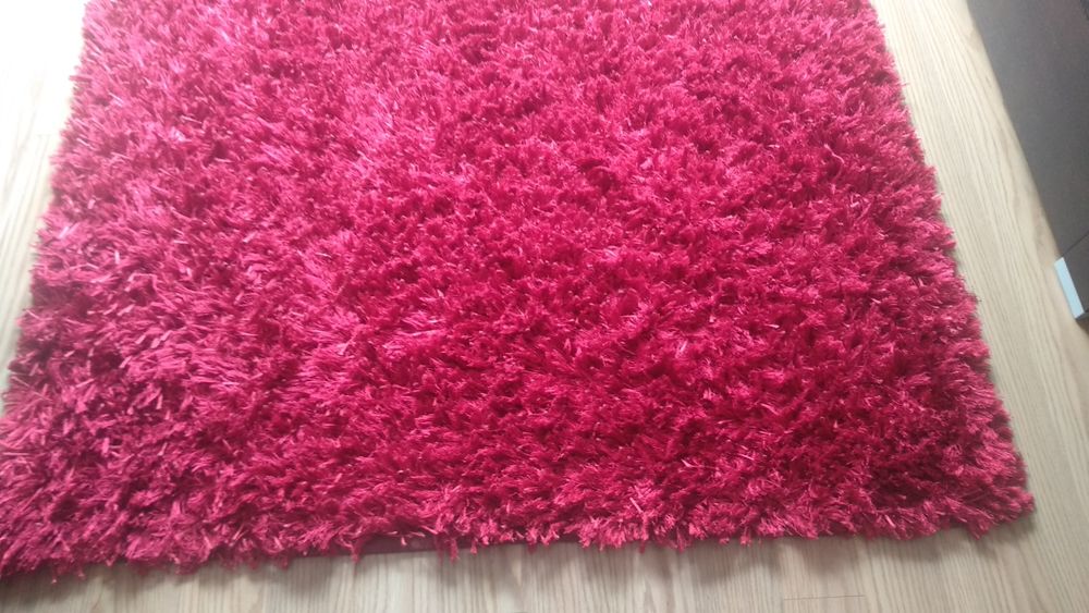 Black Cat Carpet64862266818561122