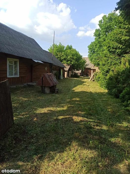 Siedlisko w miejscowości Krzywiec