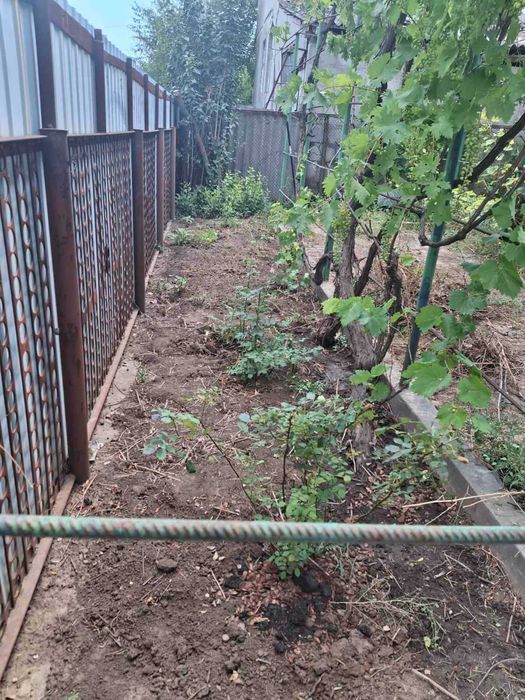 House by the address (area 144 m²) - Atlanta.ua - photo 18