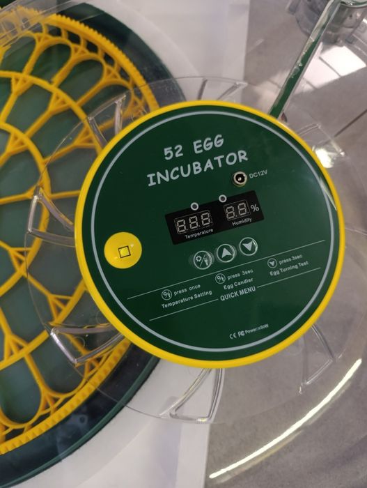 Inkubator na 52 duże jaja