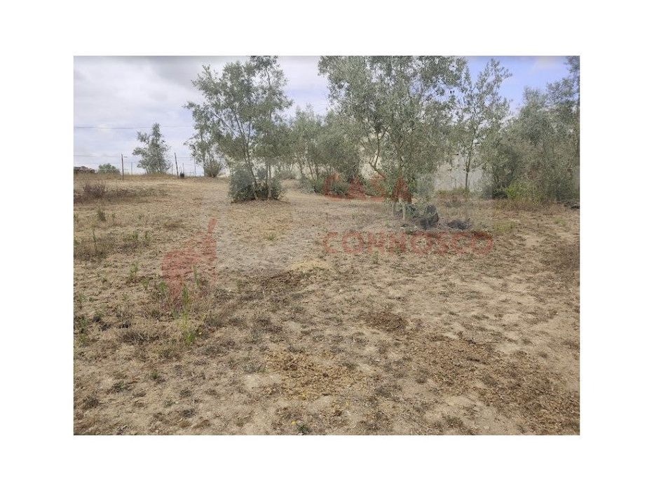 Plot of Land for Construction