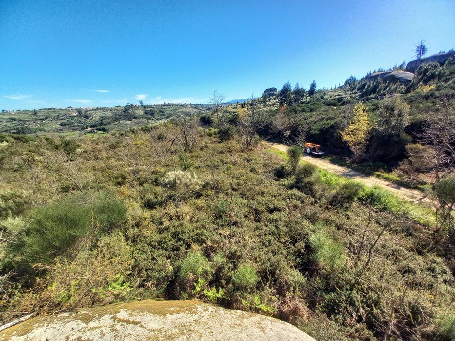 Terreno Rustico - 2.5 hectares - Travanca de Lagos