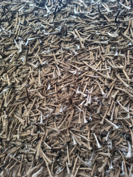 Tapete castanho 200x290