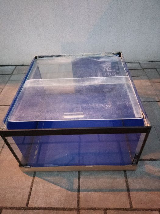 Akwarium około 80 litrowe