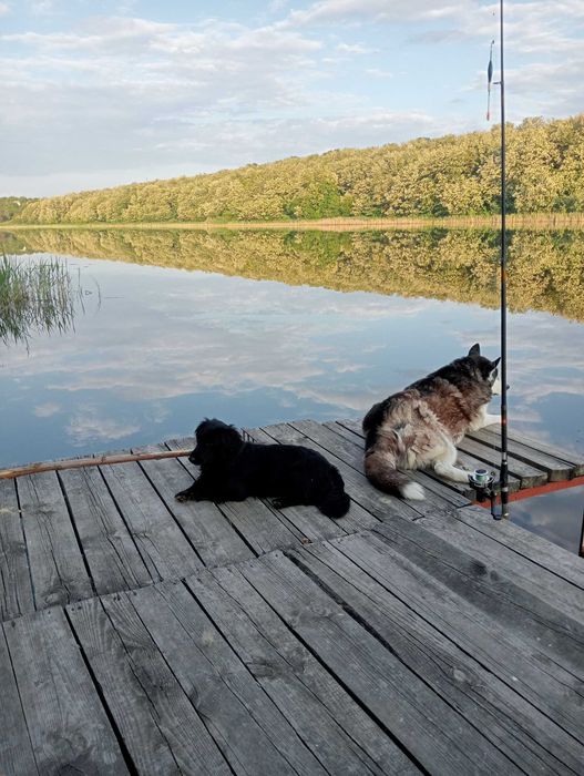 дом на берегу озера правый берег Днепра
