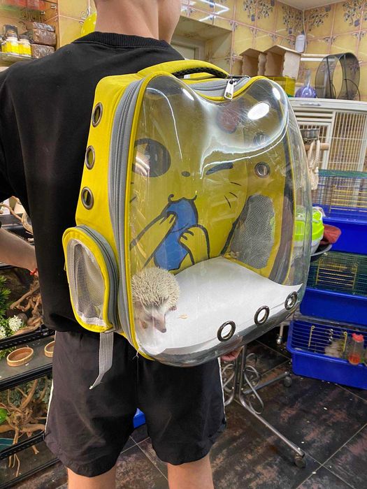 Переноска - рюкзак для птахів, гризунів, рептилій, тхориків тощо