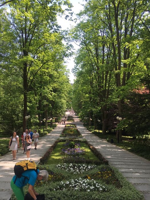 Apartament 3 w Parku Leśnym .