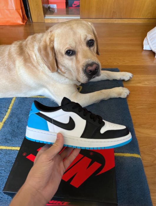 jordan 1 retro low og black dark powder blue.