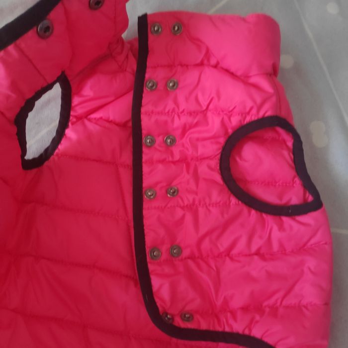 Чудова жилетка для вашої маленької собачки,в ідеальному стані