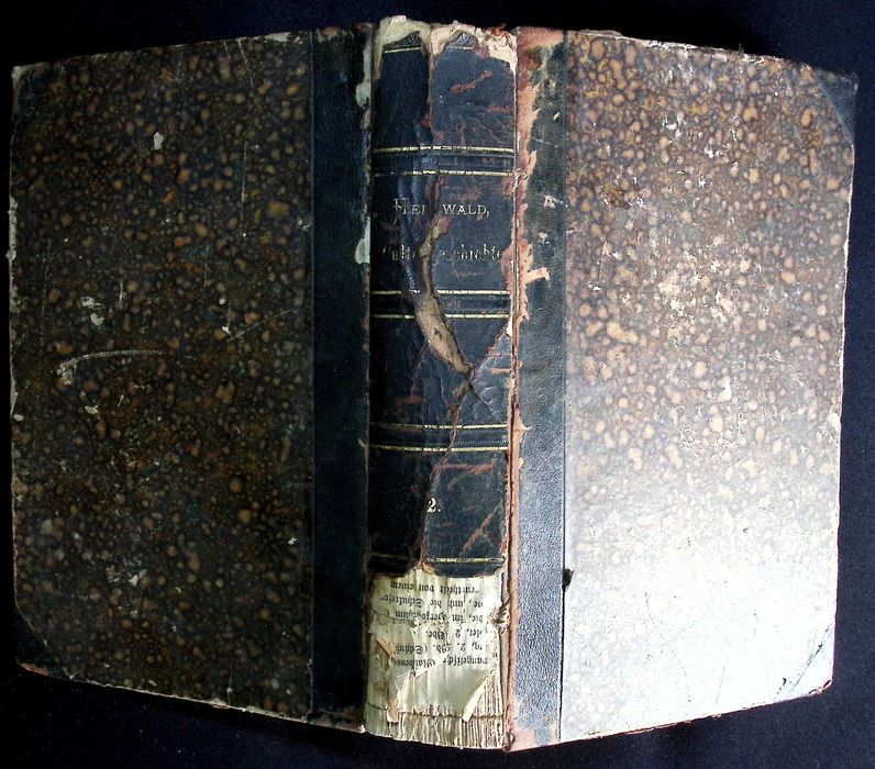 Culturgeschiste in ihrer Natürlichen entwichlung, 1877
