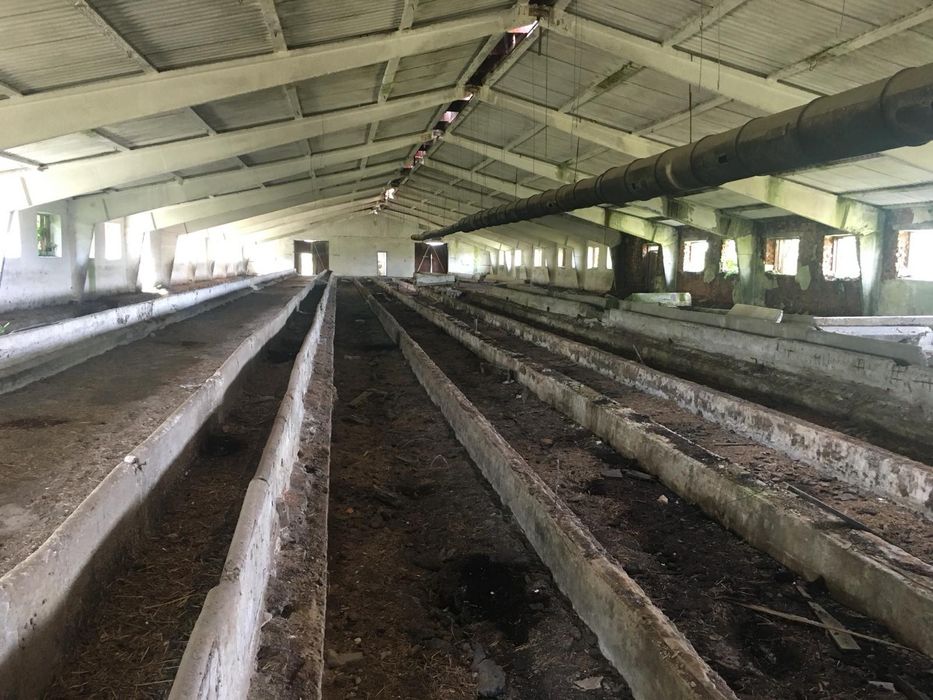 Продам ферму в с. Живачів від Власника, споруди 20,400м2, 16,1га землі