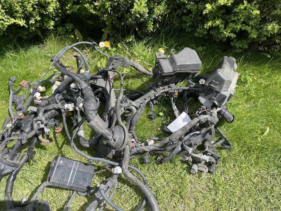 Проводка Toyota Avensis T25 . Підкапотна , проводка салону .